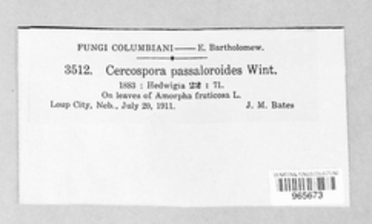 Paramycovellosiella passaloroides image